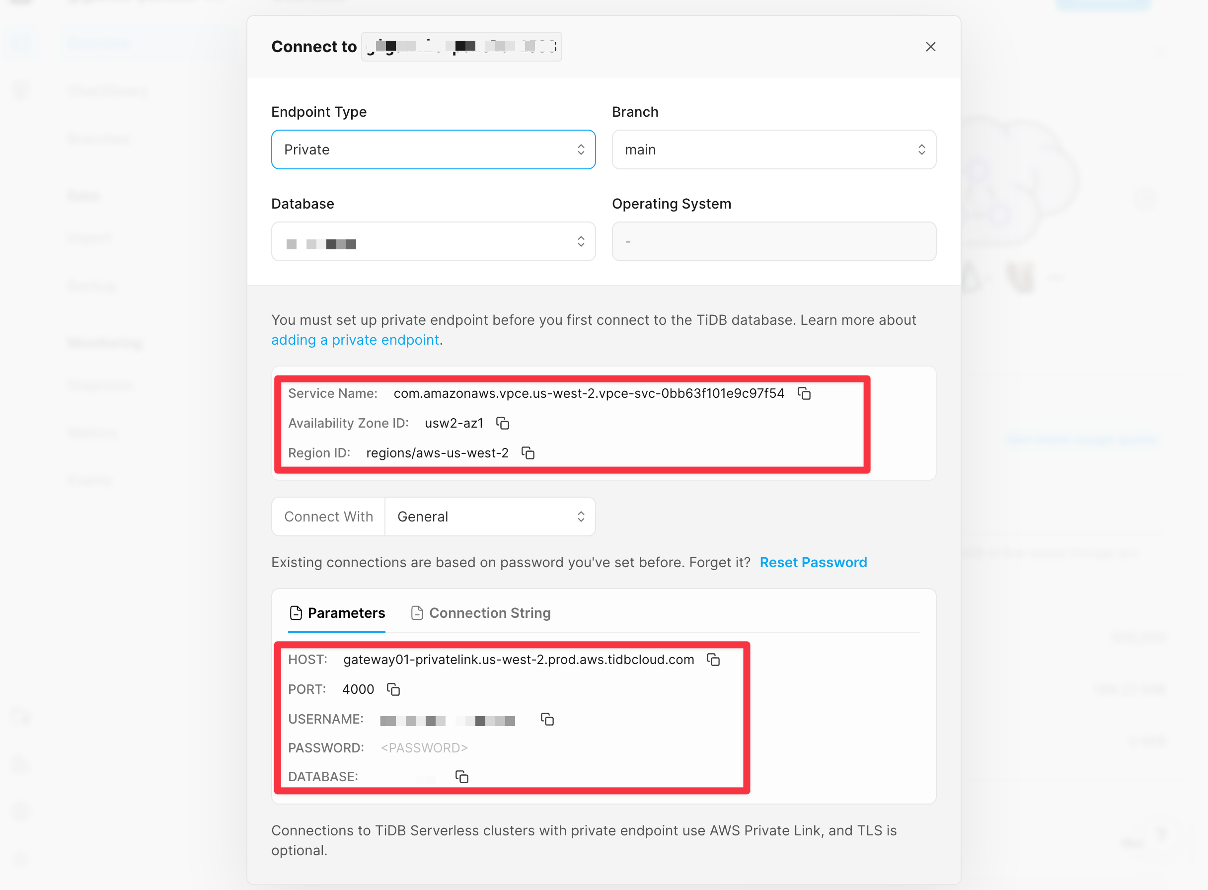 TiDB Serverless private endpoint